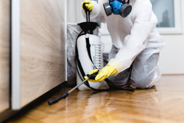 Best Cockroach Control Services  in Mount Pleasant, UT