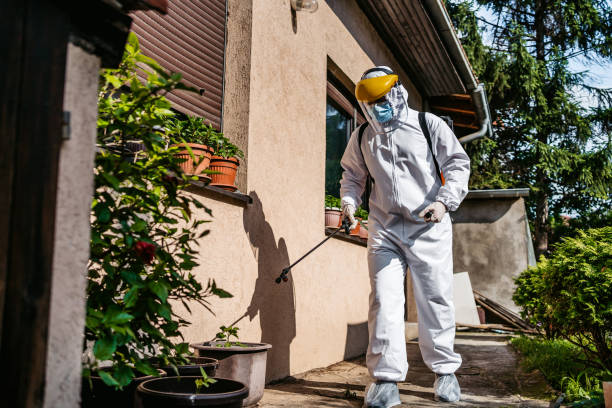 Best Wasp Removal Services  in Mount Pleasant, UT