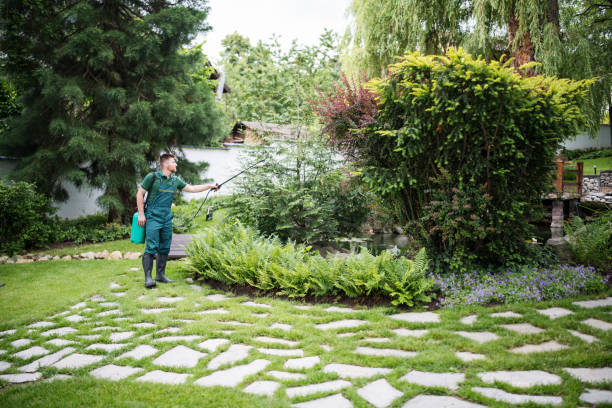 Best Residential Pest Control  in Mount Pleasant, UT