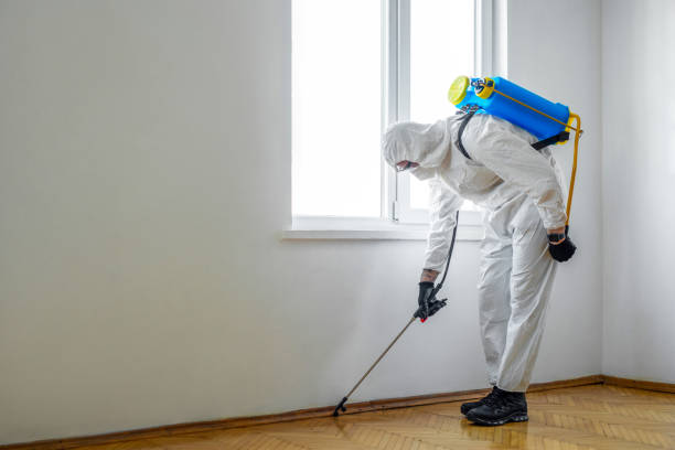 Best Pest Removal Services  in Mount Pleasant, UT