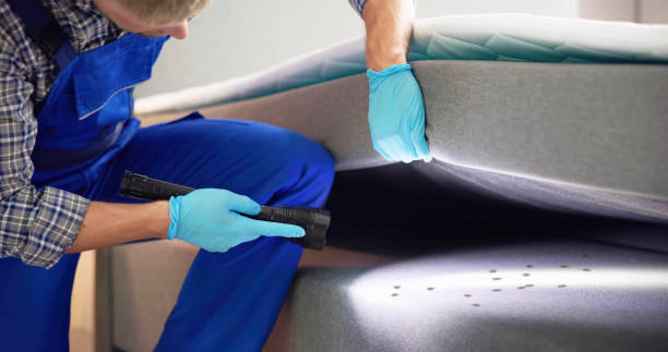 Best Cockroach Control Services  in Mount Pleasant, UT