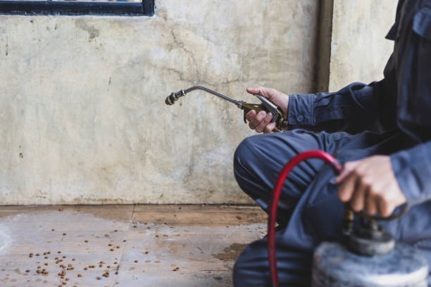 Best Residential Pest Control  in Mount Pleasant, UT